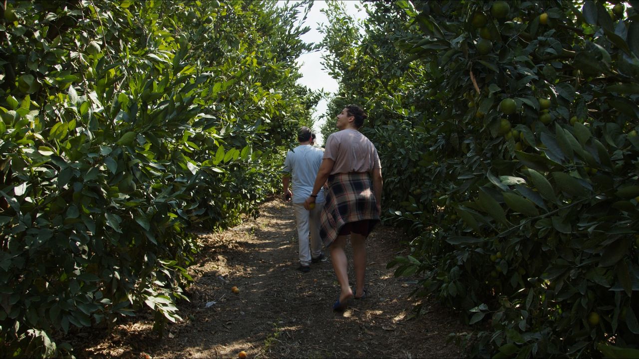 When Life Gives You Lemons — frame 8. Director of Photography Patrick D. A. Webb.